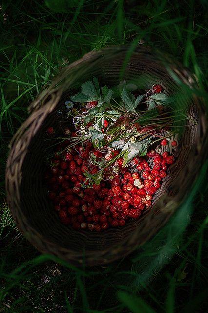 Rustic Berry Patch: Artisanal Hand-Picked Assortment